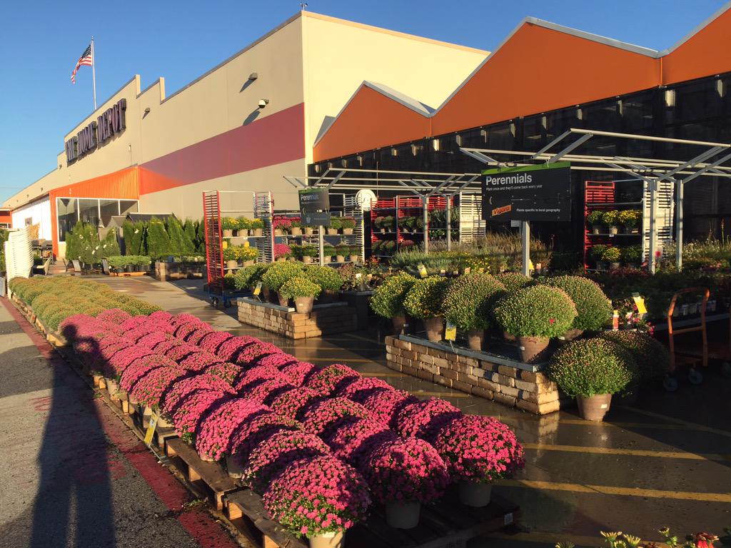 Depot6920's tweet photo. @LennyfrischPPS @PPSinHD @HomeDepot Mums! Are you kidding me look at these $8.98 http://t.co/WcmoKu9KSj