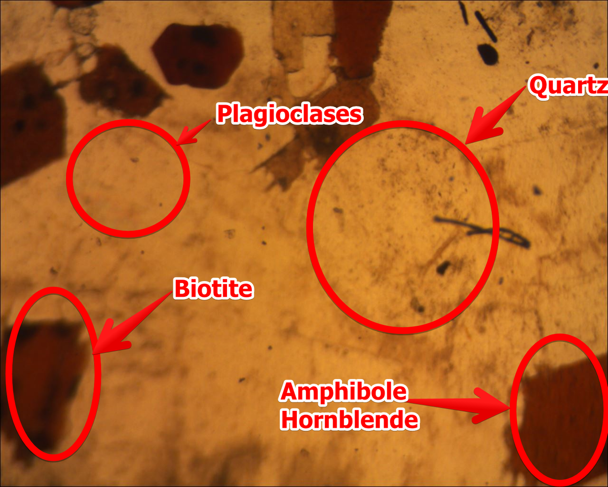 alexandra_math's tweet photo. Granodiorite observé au microscope polarisant LPNA #FloraTS2015 #TSmagmatisme2015 http://t.co/wloivoE8DW