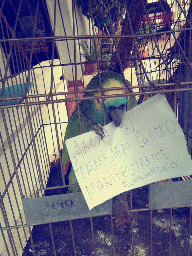 AngelRolandoMF's tweet photo. @AldoRiiquelme http://t.co/mzXRXHYIFW
