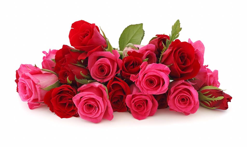 IDO_PAD's tweet photo. #weddings #idopad http://t.co/BHeAJYD5bH http://t.co/bxdHPzVbBD