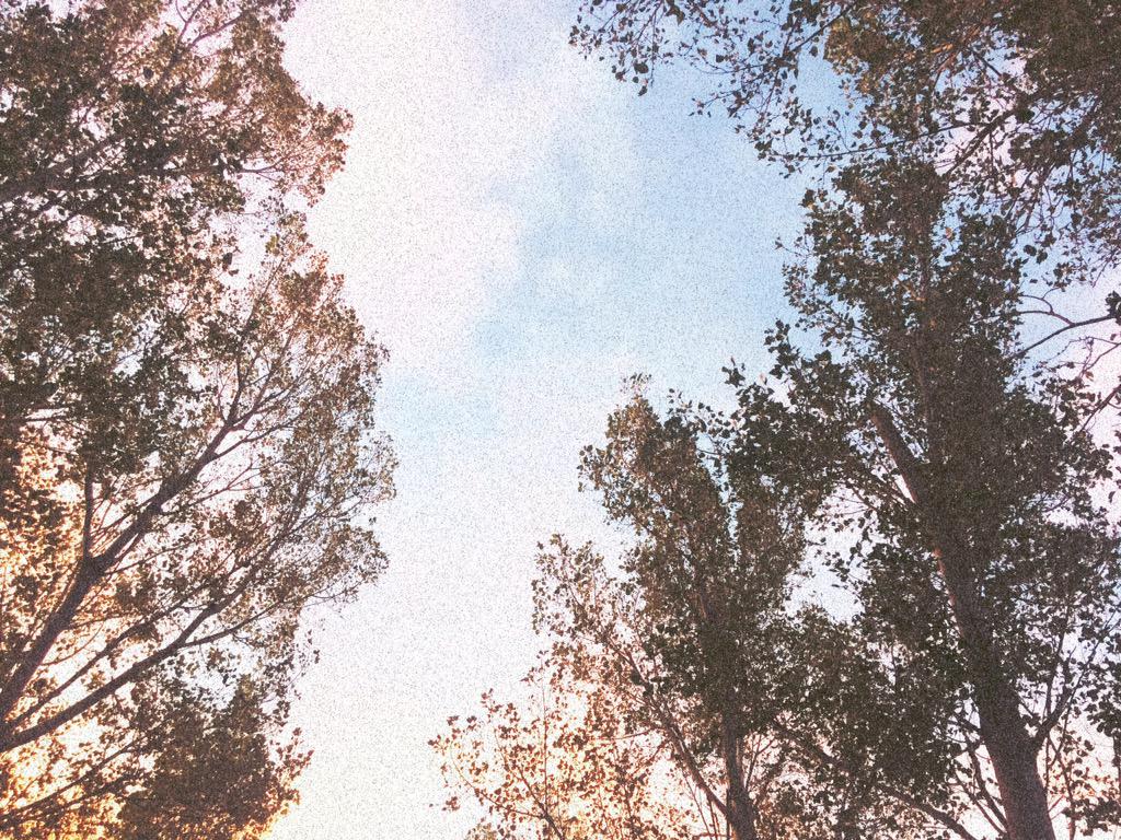 can't complain with these morning views #TØP
