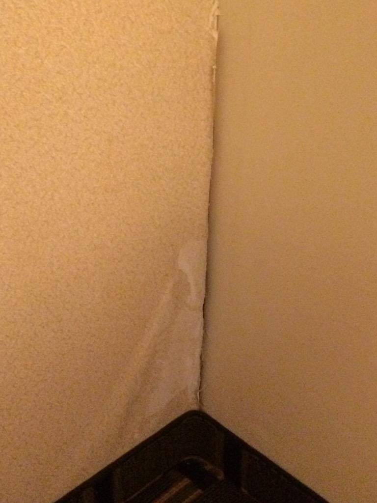 SoraBullys's tweet image. BEDBUG-FINGERNAIL&amp;amp;nasty room at @ClarionBatavia !Hotel owner IS NOT HELPFUL!@TripAdvisor