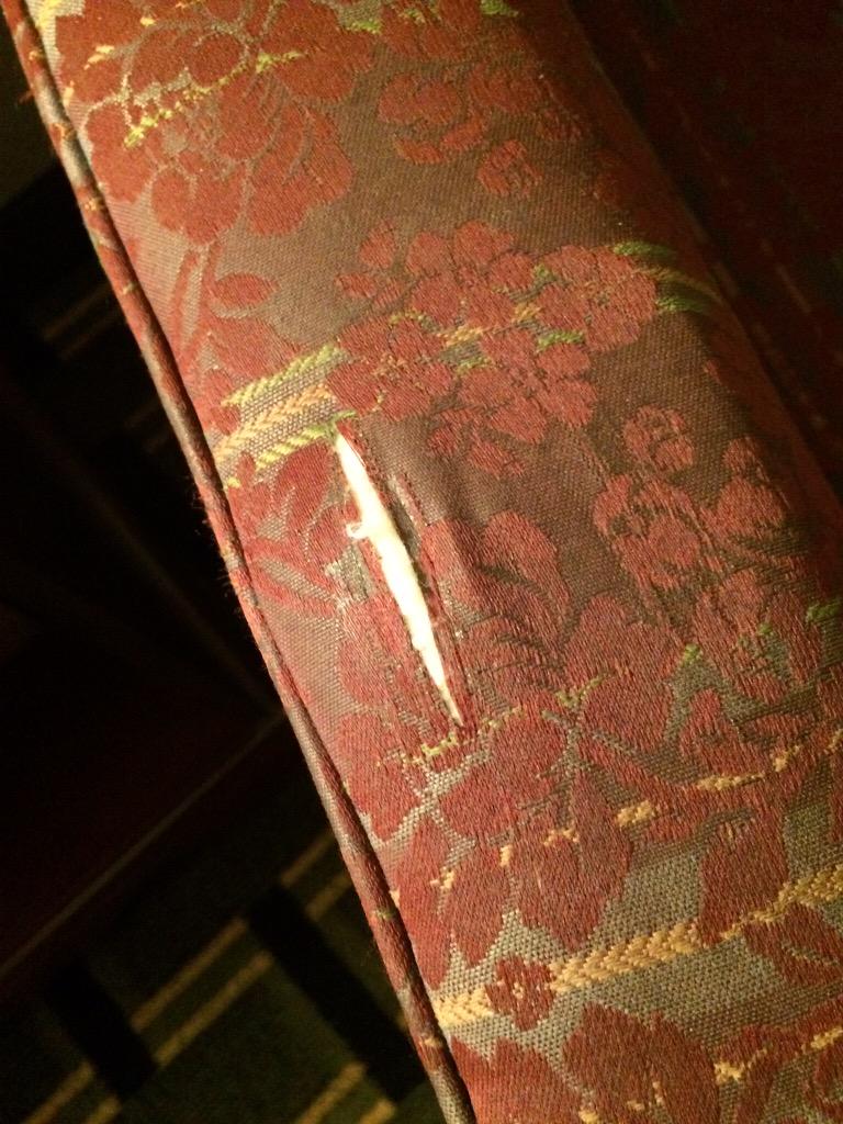 SoraBullys's tweet image. BEDBUG-FINGERNAIL&amp;amp;nasty room at @ClarionBatavia !Hotel owner IS NOT HELPFUL!@TripAdvisor