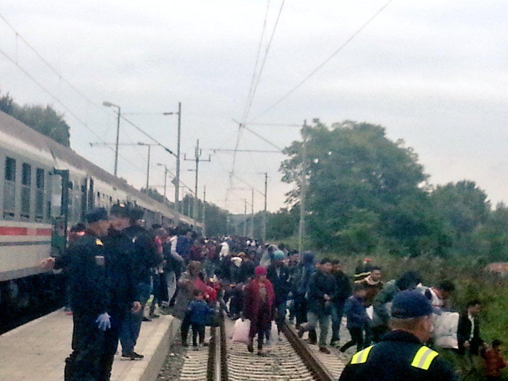 gattoclochard's tweet photo. #openbordercaravan in #botovo trains and buses arriving heading to.. Hungary?
@nobordercaravan http://t.co/lf0vcmn5eN