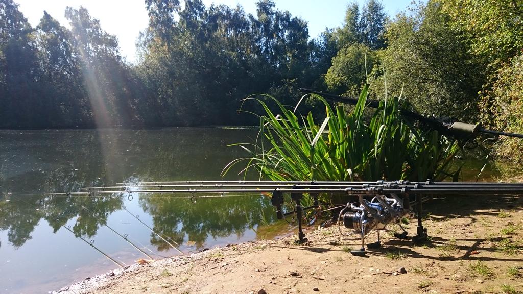primal_team's tweet photo. #Richmonds @fantackletastic @PiscatorMemorys @CaptureBaits @LFA2014 @carpkidd @TeamPrimal1 @teamprimal2 @teamprimal3 http://t.co/aBDAfXveR4
