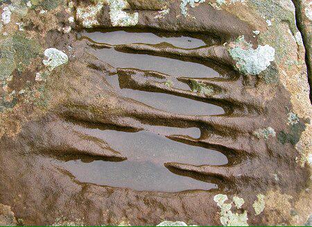 The slightly creepy "Devil's claw marks" at Lady Kirk on the island of Sanday, Orkney. More: bit.ly/1YFAFcT