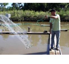 BioFlocTech's tweet photo. AQUACULTURE: FROM OPEN OCEAN TO POND
http://t.co/Vgcf3T6rzh
#aquaculture #bftech #bioflock #farm #shrimp #fish http://t.co/6LC0FqABO0