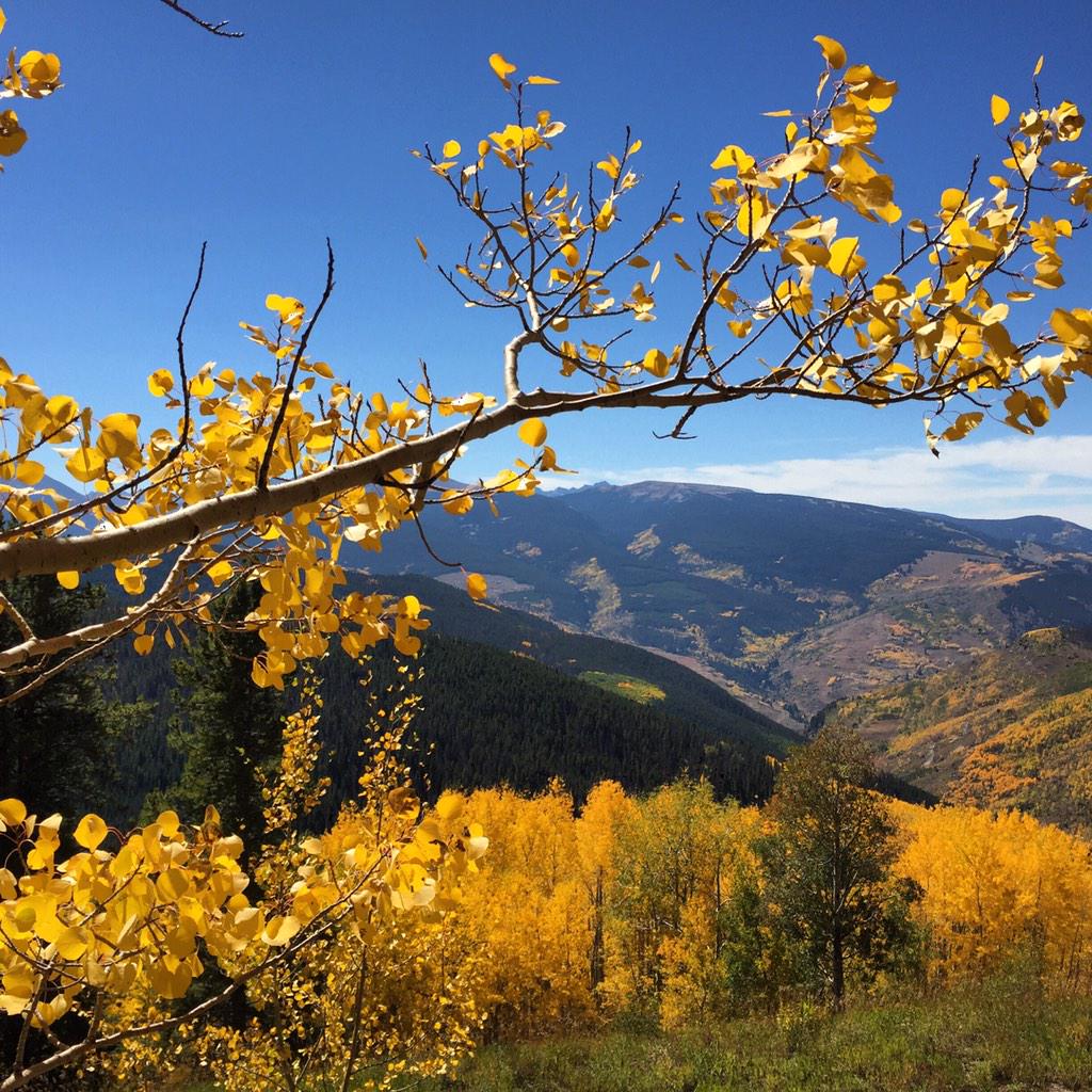 ChristineNoelTV's tweet image. Such a PERFECT day in #Vail - the aspens are glowing. @KathySabine9 #9wx #9News #cowx