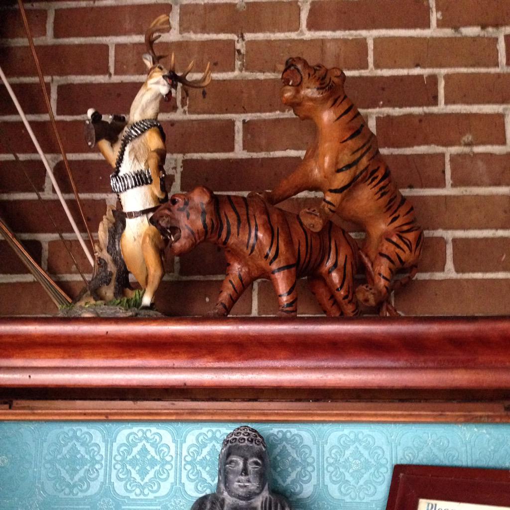 blindtigerpub's tweet photo. It's the freakin' weekend baby Imma bout to have me some fun! Come get weird at the Tiger and watch some football http://t.co/sHobMFDiVy