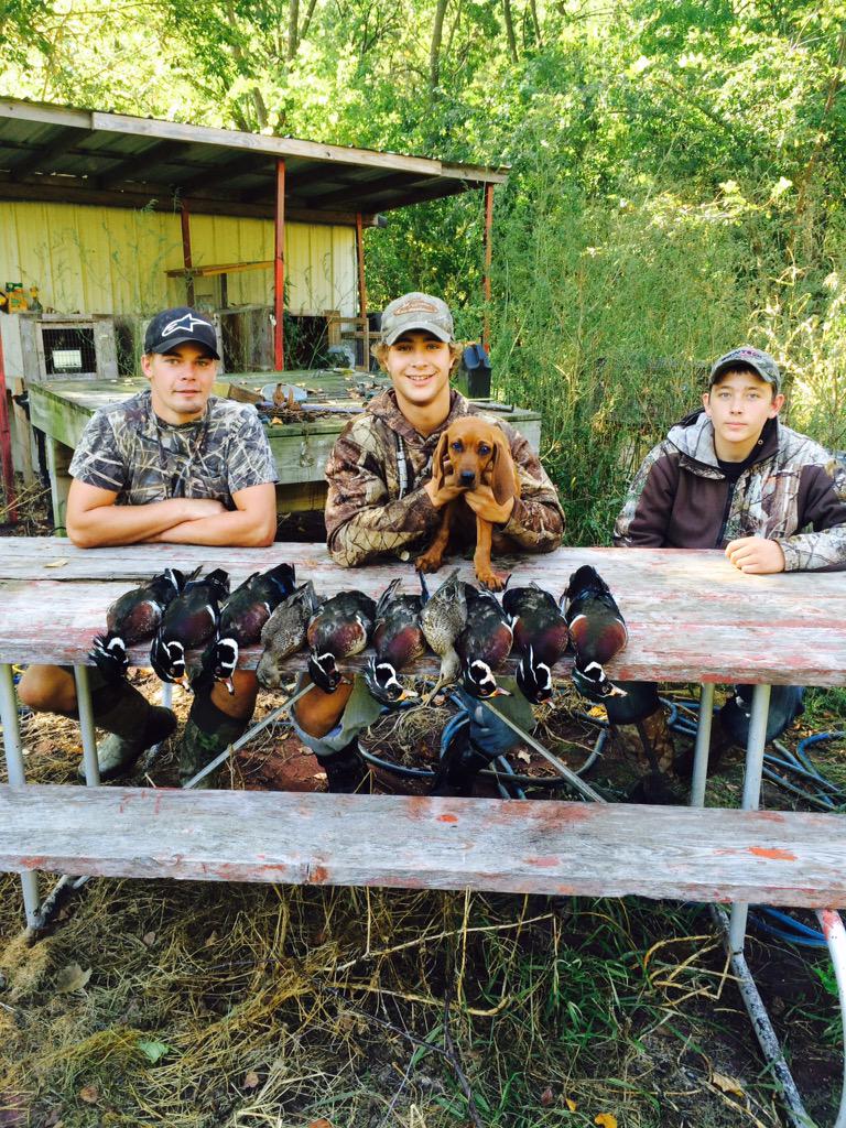 chaseellingstud's tweet image. Mint!