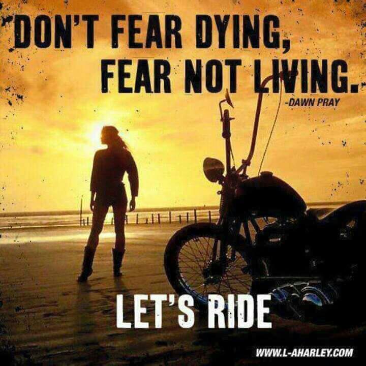 gothangelbbyxx's tweet image. 