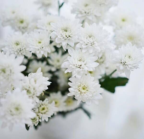 Dwi nurmayanti (@dwinurmaya48) on Twitter photo 