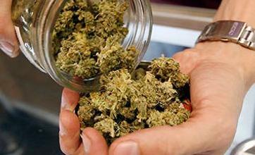 Inside Cannabis tweet media