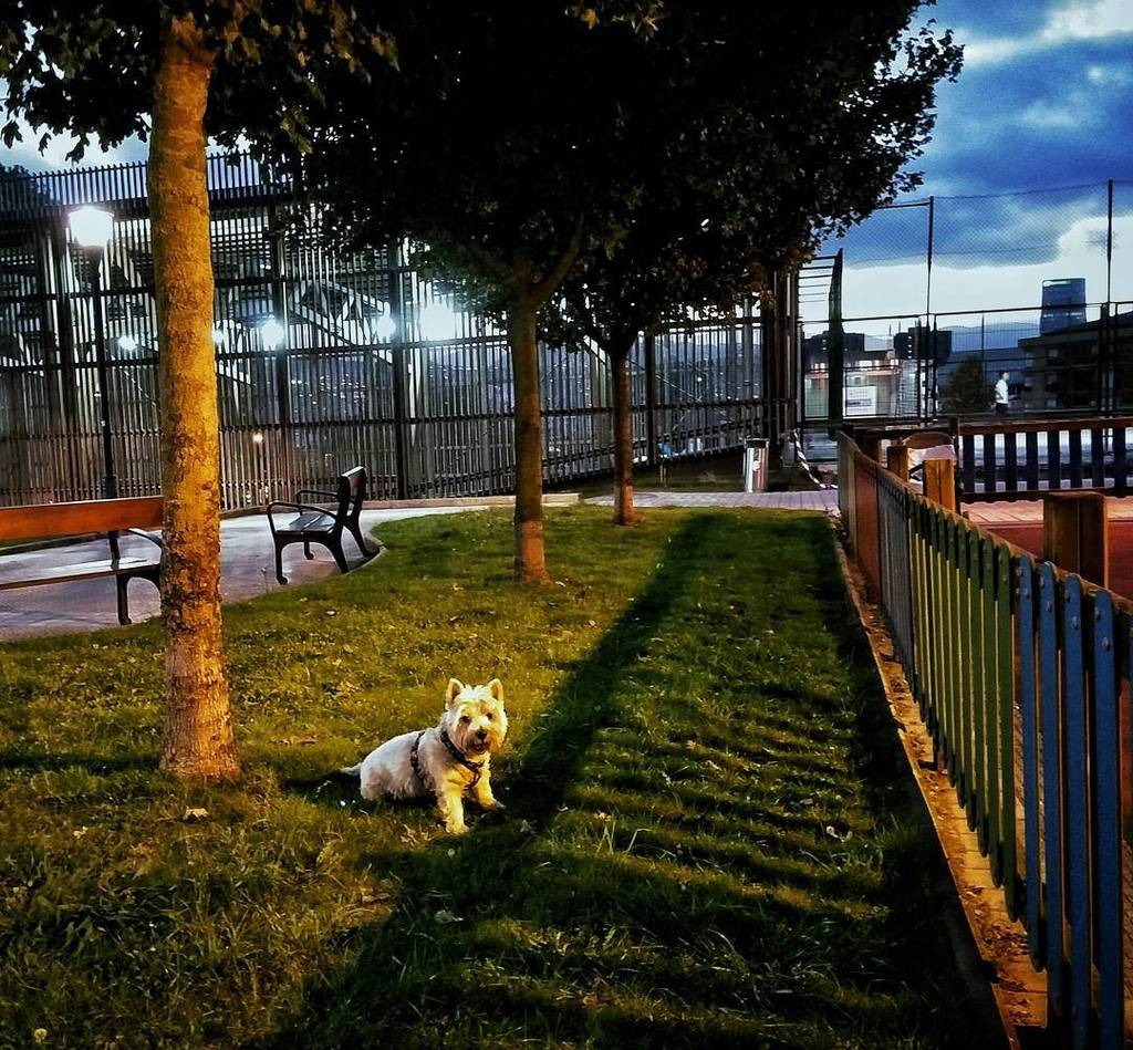Paigar's tweet photo. Tardes de otoño #Bilbao #Paigar #BilbaoEnImagenes #BZFoto http://t.co/jLeJOXhjNR