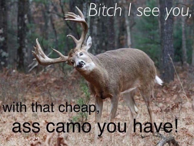 Deerhuntingprob's tweet photo. It's about to go down http://t.co/csmEW7bO4v