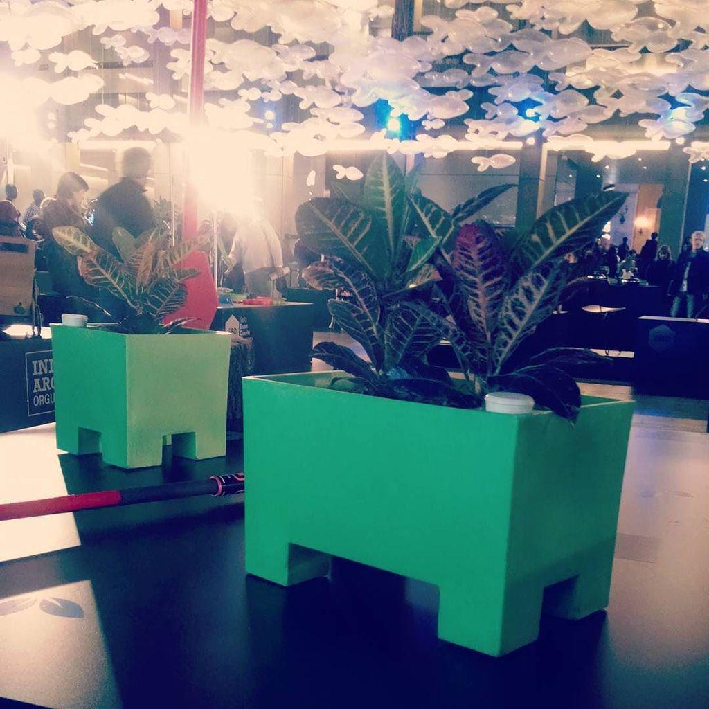 invasionverdeAR's tweet photo. Te estamos esperando #sellodebuendiseño @BuenDisenio http://t.co/nyBTnq3ENb http://t.co/moUjohEk0D