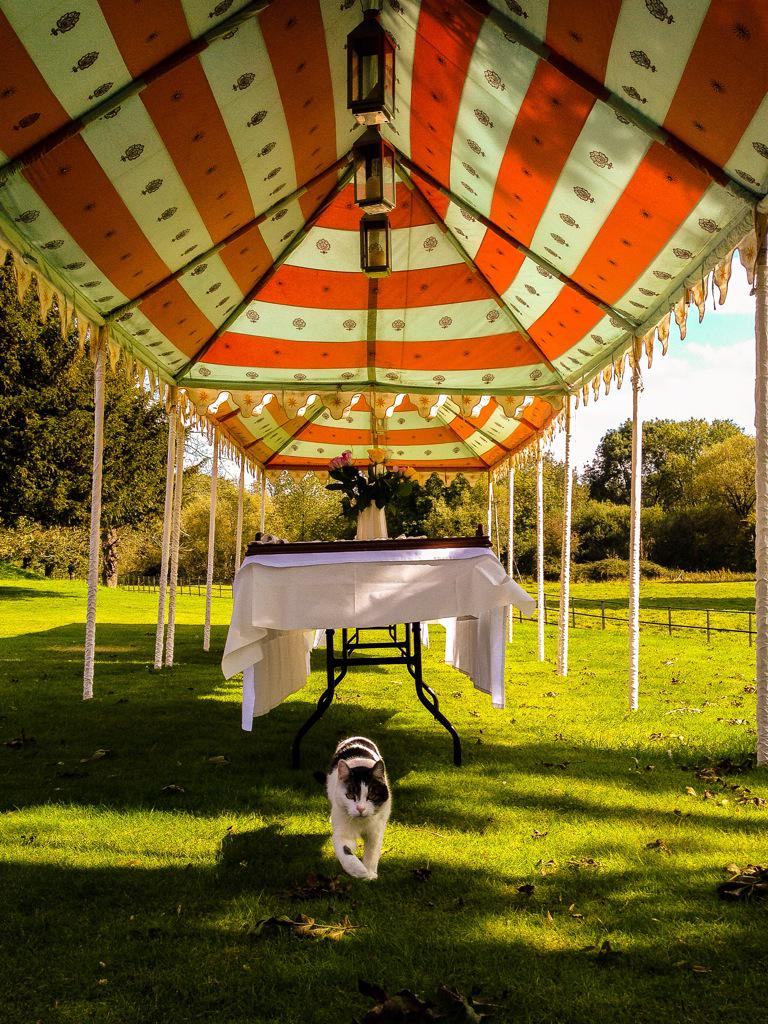 CharlieTFoley's tweet photo. #lunch is served #indiansummer style with @englishwine flowing + #coronationchicken to cheer on the #rugby tonight http://t.co/FBfe8Vmm62
