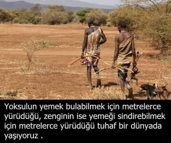 Yoksulun yemek bulabilmek için metrelerce yürüdüğü, zenginin ise yemeği sindirebilmek için metrelerce yürüdüğü...