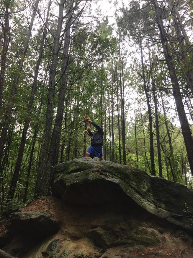 BradReezy's tweet photo. Willow=simba #circleoflife @cjwcarman http://t.co/RMk9ZmiqQn