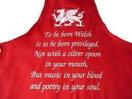 welshtwin's tweet photo. Come on Wales!!!! #RWC2015 http://t.co/itO2Aqzqs4