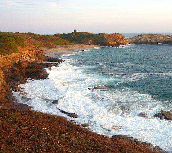 ZoaHotel's tweet photo. Cerca de Punta Cometa se pueden apreciar migraciones de aves y especies marinas durante el invierno. http://t.co/lrI2UvYRvv