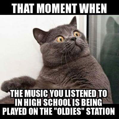 FFPTastyTweets's tweet photo. Sadly I have had this moment http://t.co/MNZZkBeJpW