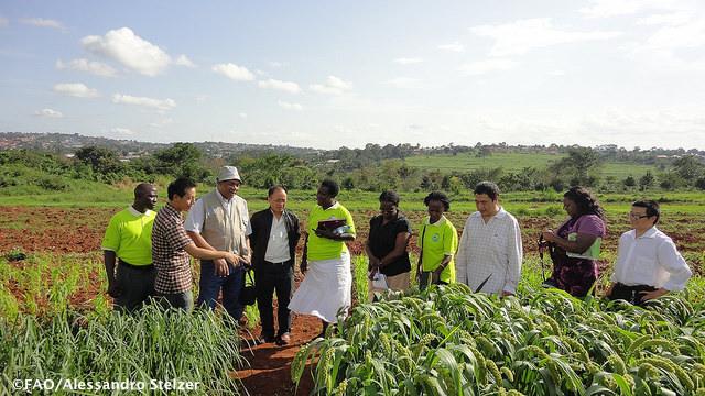 #SouthSouth Coop driving force for global growth - exchanging dvlpt solutions bit.ly/1MtAF9l #GlobalGoals