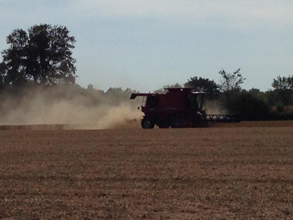 #harvest2015 beautiful start