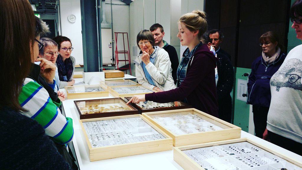 ChantéStClairInglis tweet media