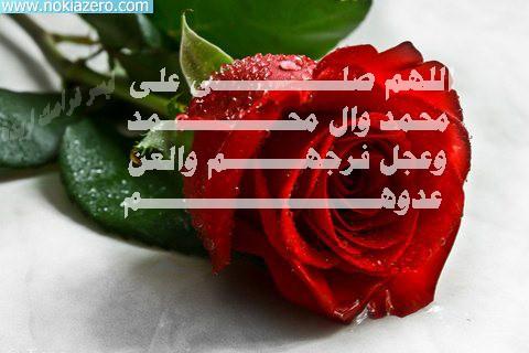 @ALkingmbb @samralii22 @alkameliaa <a href="/ZozZozaa09/">Z......</a> @abiss32187 @m06910 <a href="/AlbashMm44558/">الباشا</a> @feelhalsem567 @JasmMhsn