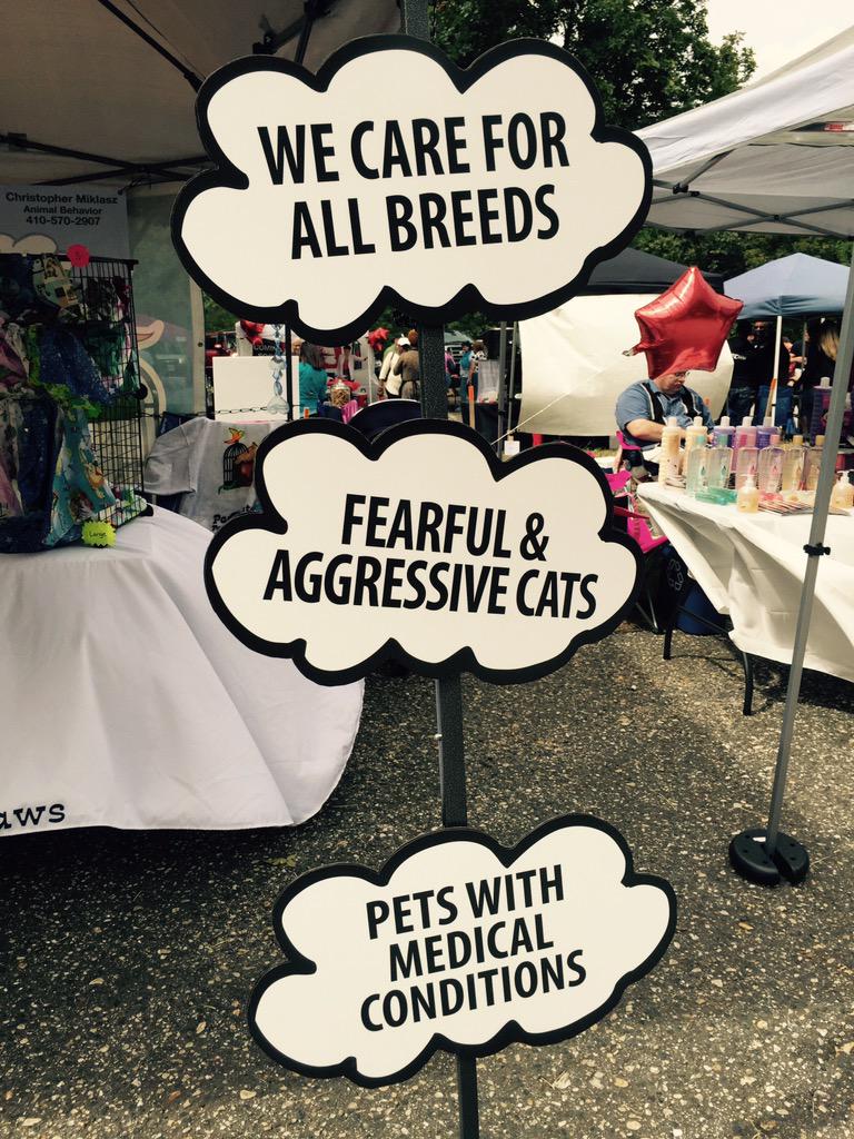 Great time today at the Crofton Festival on the Green! #CroftonChamberodCommerce