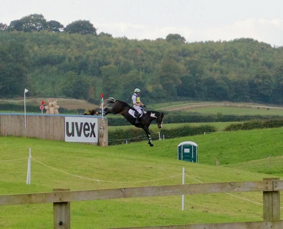 mowen_eventing's tweet photo. Thunder VI flying off the UVEX bank @KelsallHillEque for 3rd place. http://t.co/aN06ud0Efz