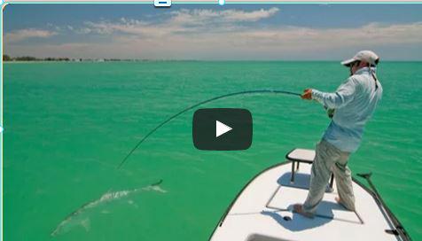 FlyFishingSimpl's tweet photo. Video of the Day Tarpon Drone Fly Fishing Pesca con Mosca #flyfishing #fishing http://t.co/TRyYAL9x98 La pêche en mèr http://t.co/vWeMG7b3bj
