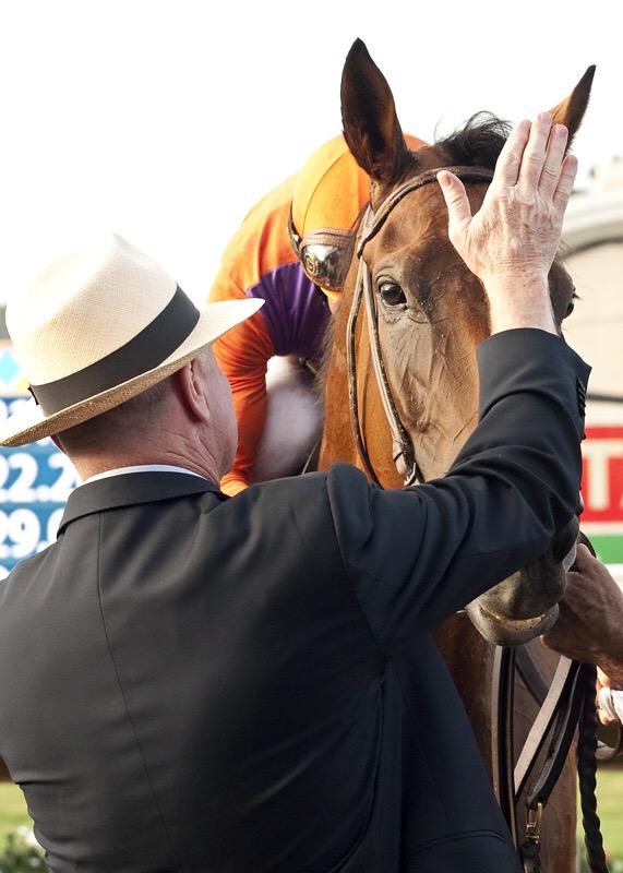 Meggs126's tweet photo. Brilliant RT @DelMarRacing: Beholder making it look easy in the Zenyatta Stakes at the #greatraceplace #toogood http://t.co/KCFT6HGBoJ