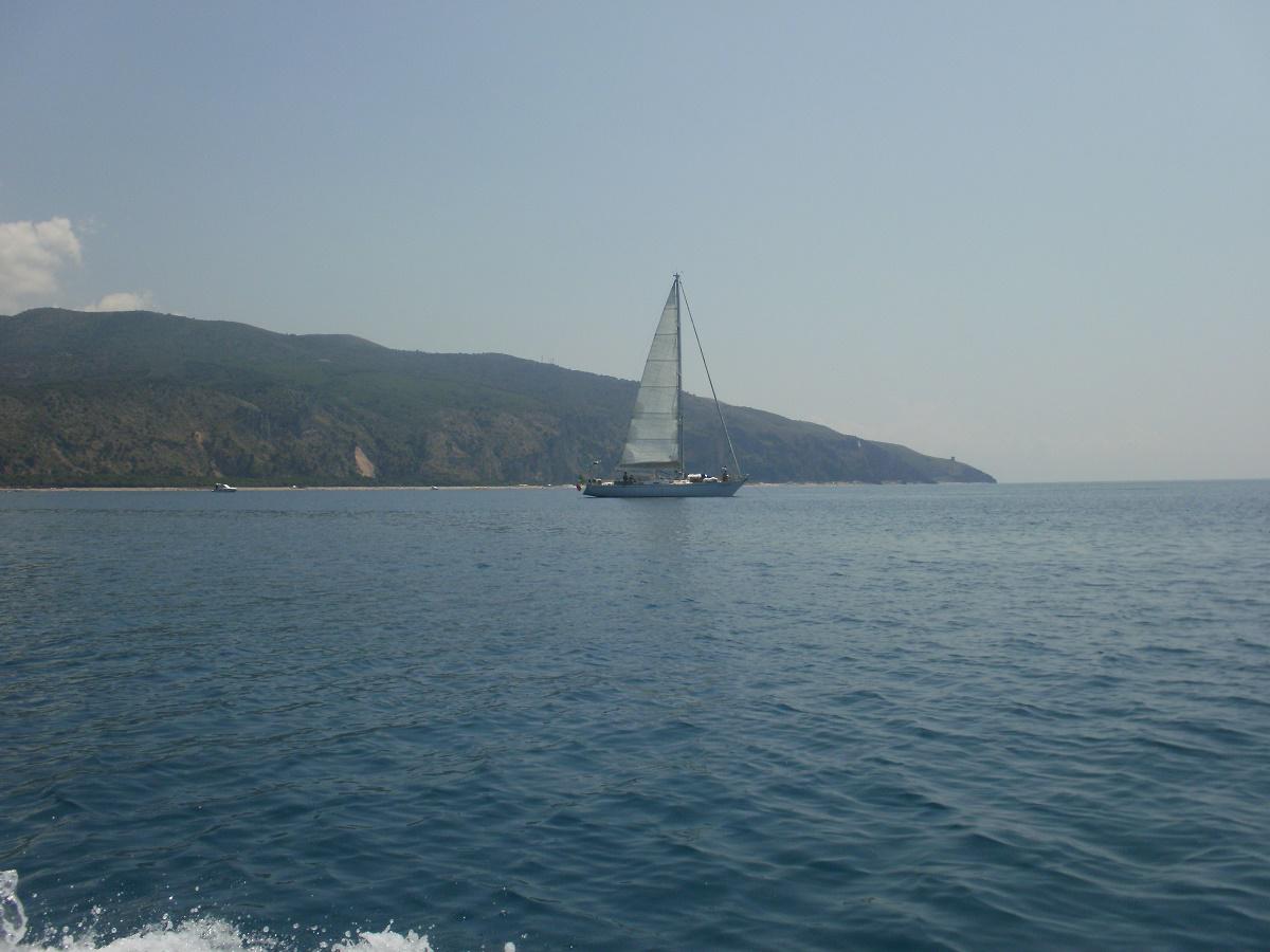 Discover Campania tweet media