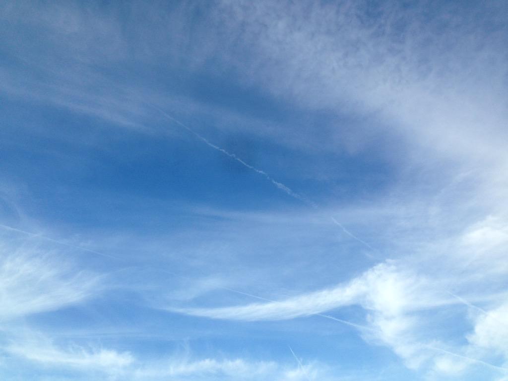 ManhattanFlight tweet picture