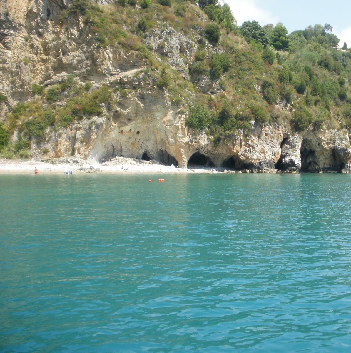 Discover Campania tweet media