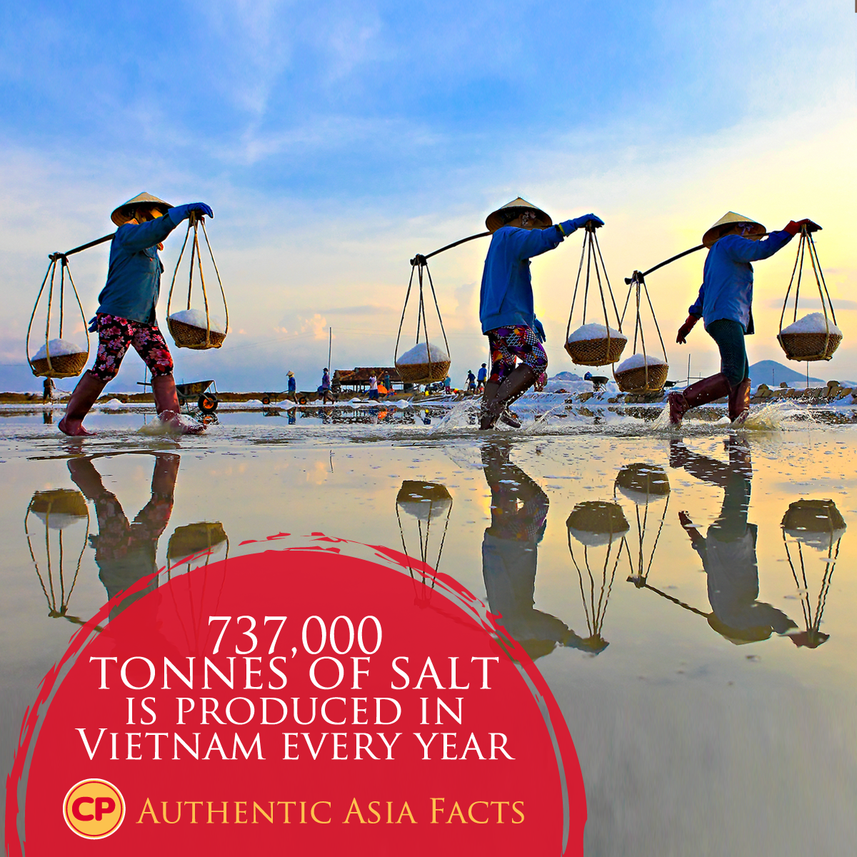 CP_Australia's tweet photo. Vietnam's extensive coastline produces around 737,000 tonnes of salt every year! #foodfacts #salt #vietnam http://t.co/9yDFlcyBSf