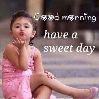 Selamat pagi, selamat menikmati hari minggu, walau ditempat kami kabut asap masih tebal