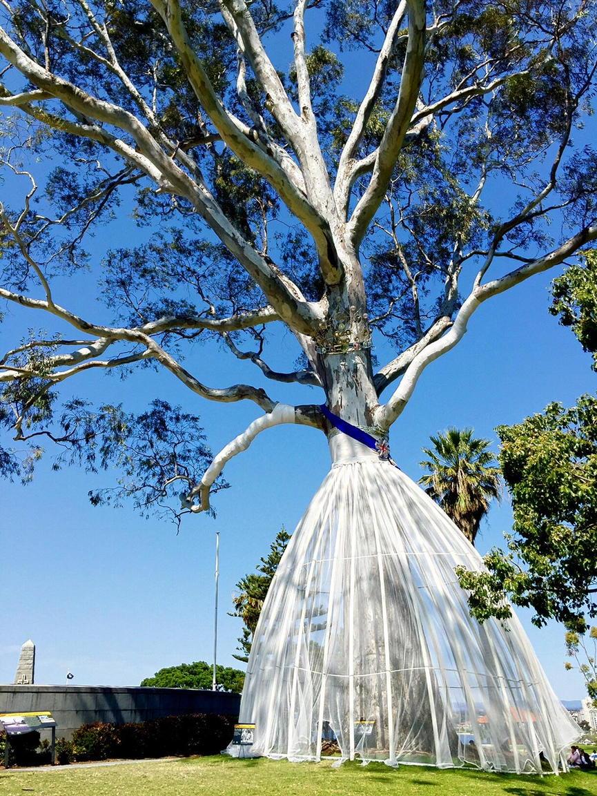 uptondavisk's tweet photo. Off to see the Queen in Kings Park today http://t.co/aRue8RGXs9