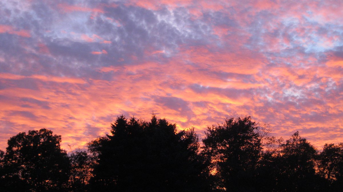 ToddIrwin1's tweet photo. Sky almost looks like a painting. #pasky #amazingcolors http://t.co/x97NUZkDku