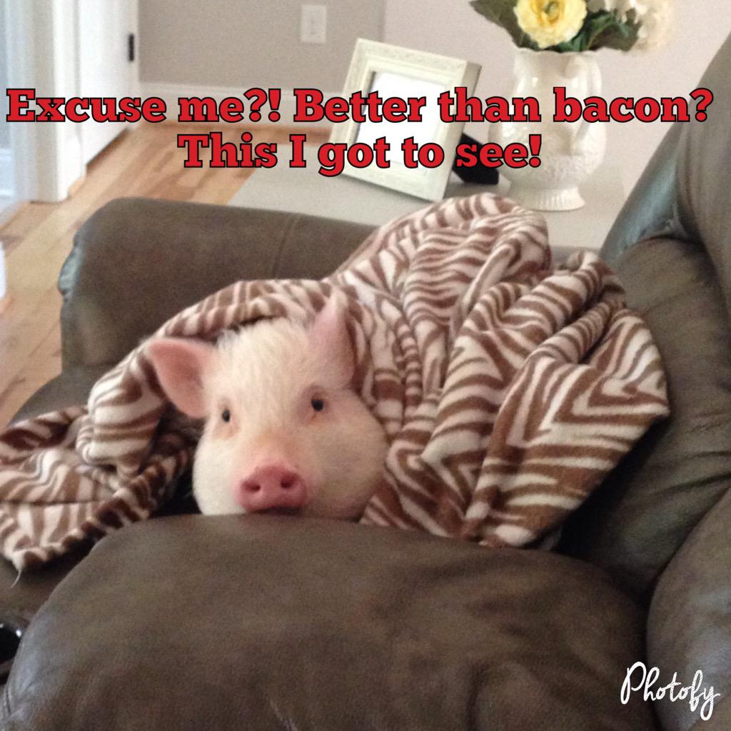 @TheSummitNC @TheSummitOR