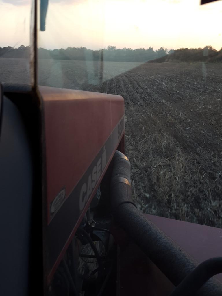brianlivesay's tweet photo. @yost_farms #runningred #wheat15 http://t.co/KgKP4epExI