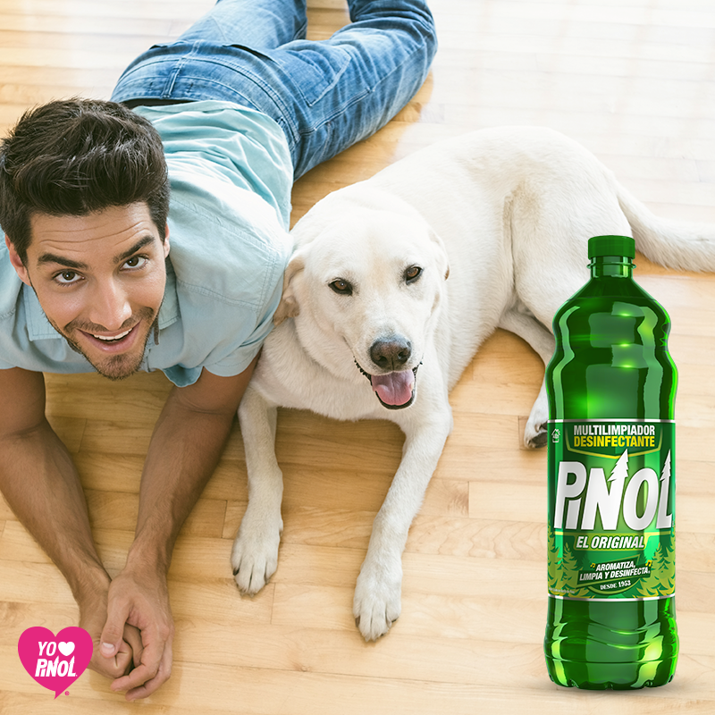 PinolElOriginal's tweet photo. #Desinfecta el área de tu mascota con #PinolElOriginal. http://t.co/1LcAybMPSz