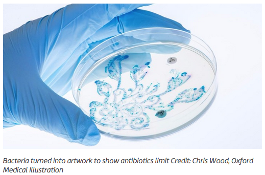 Microbe artwork shows the limits of antibiotics: harvested from stool - University of Oxford
ox.ac.uk/news/2015-09-2…