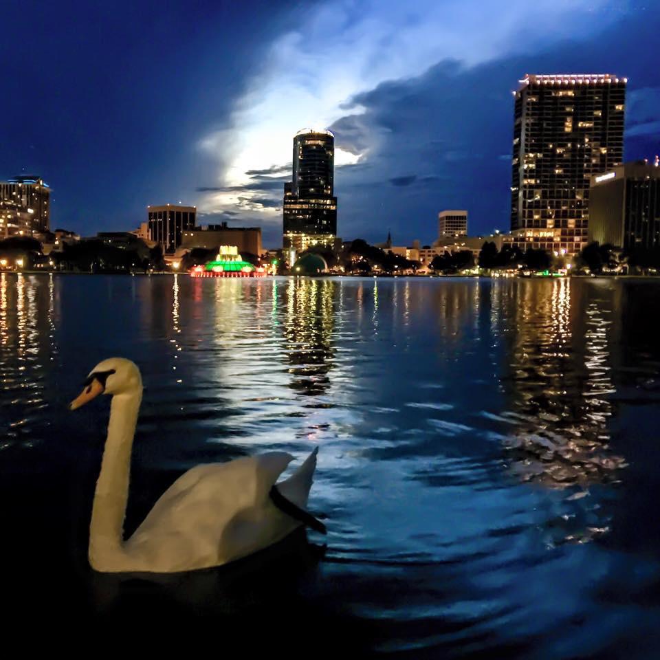 Lake Eola tweet media