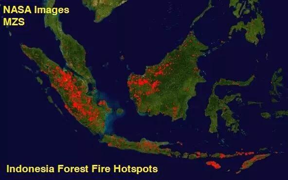 SantaiDanSampah's tweet photo. Dia bakar lagi. Baik lenyap sahaja di muka bumi ini. #TerimaKasihIndonesia http://t.co/CYLy3sGuRh