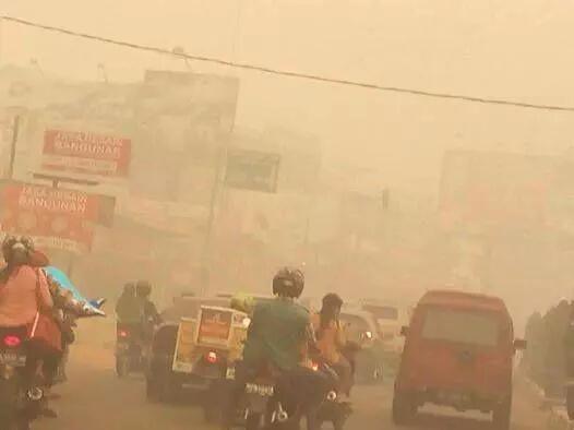 SantaiDanSampah's tweet photo. Dia bakar lagi. Baik lenyap sahaja di muka bumi ini. #TerimaKasihIndonesia http://t.co/CYLy3sGuRh