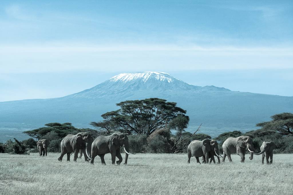 ZiaraGroup's tweet photo. Happy #WorldTourismDay...which is your favourite destination in Kenya? #TwendeZiaraKenya Indulge, Experience, Explore http://t.co/BXIHVxPRSO