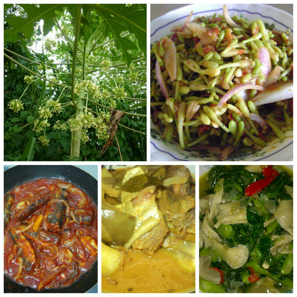 adzim_ikhwan's tweet image. abam bole je nak masak kalo setakat nak makan cara kampung..
#KerabuBungaBetik
#SambalSardin
#GulaiIkanMasin
#KailanC